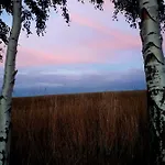 Na Borowinowej *