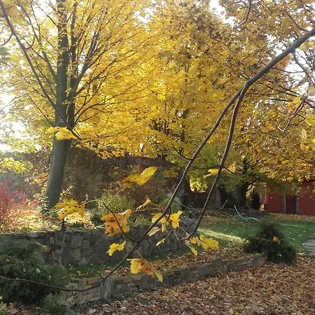 Κατάλυμα σε φάρμα Na Borowinowej Wolimierz