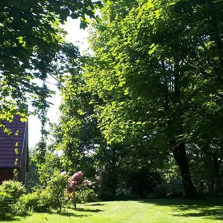 Κατάλυμα σε φάρμα Na Borowinowej Wolimierz