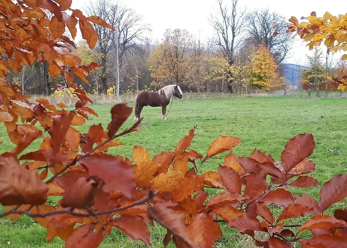 Na Borowinowej ファームステイ
