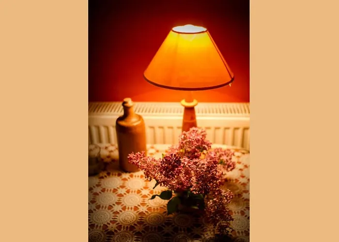 ファームステイ Na Borowinowej *